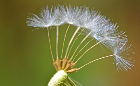 fotokurz-leto_v-Jicine