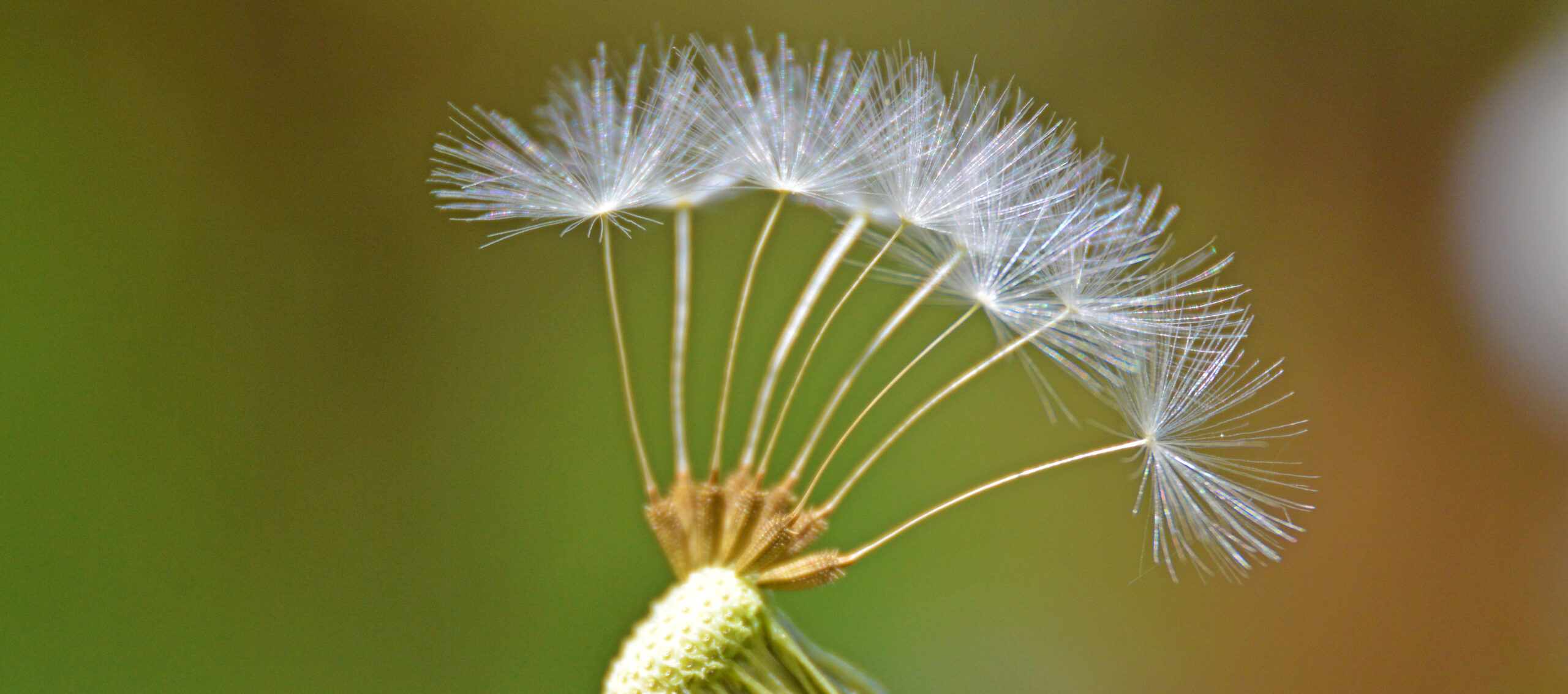 fotokurz-leto_v-Jicine