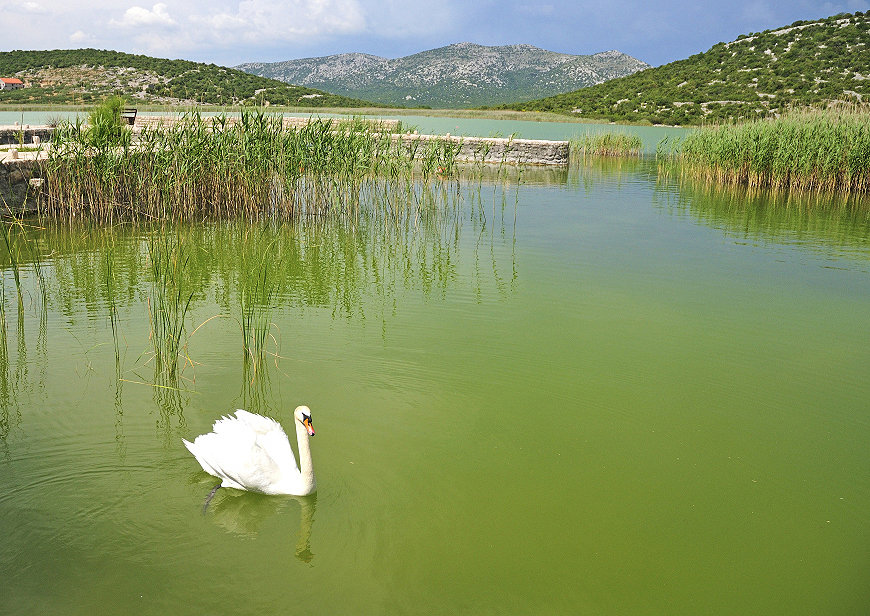 Kompozice obrazu - zlatý řez - rozdělení levý dolní roh
