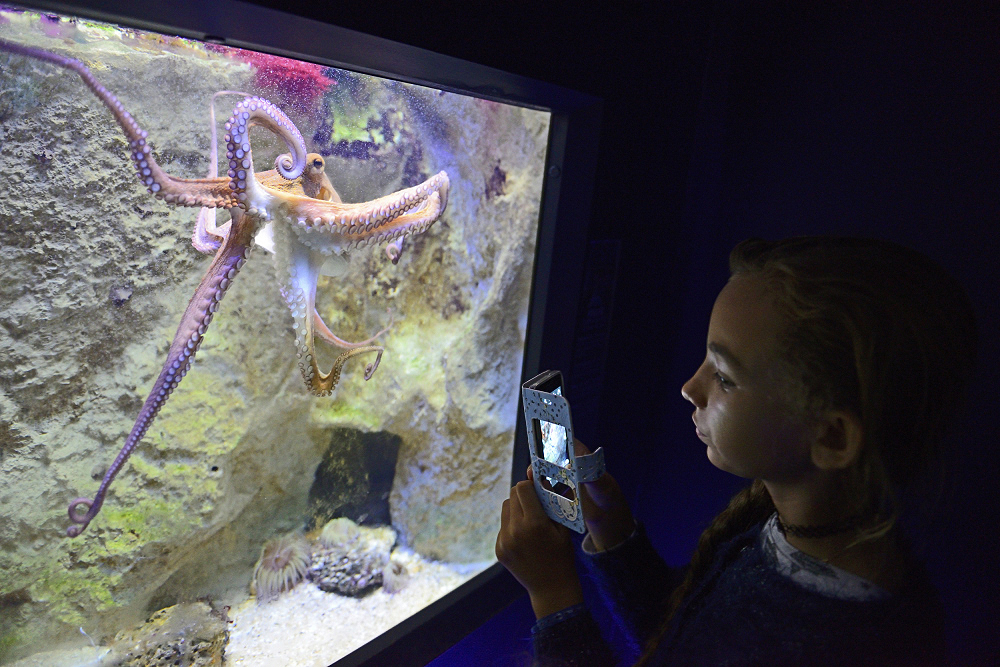 Kompozice obrazu vyvážení světlem