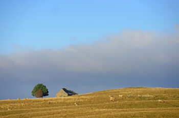Okcitánie podzim Aubrac