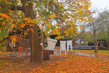 Podzim v Braniborsku